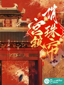 宫锁珠帘讲述什么