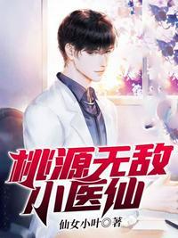 桃源小仙医下书网
