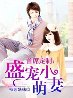 首席萌宝买一送一全文免费阅读盛安然