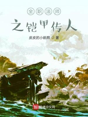 全职法师之铠甲传人全集TXT