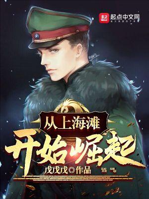 从上海滩开始当军阀