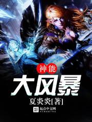 神能大风暴TXT笔趣阁
