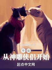 娱乐从神雕开始