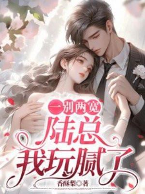 一别两宽前夫免费阅读