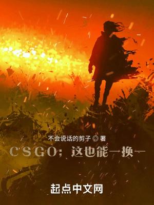csgo一换一谁赚