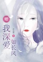 赠我深爱如长风免费阅读全文