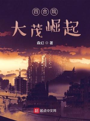 四合院我是大茂哥哥