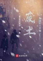 辐射4 废土后宫v2 . 0 稳定绅士整合版巧0g