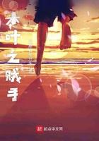 木叶之贼手123读