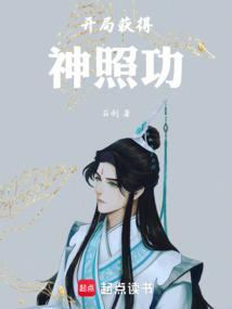 开局获得神照功全本