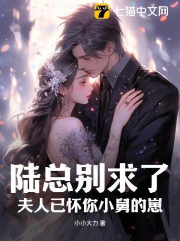 陆总别求了夫人已被宠上天文字是本免费的是什么