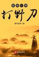我有一柄打野刀大结局