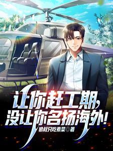 让你赶工期没让你名扬海外全文阅读