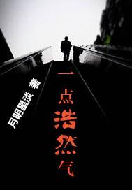 一点浩然气下一句