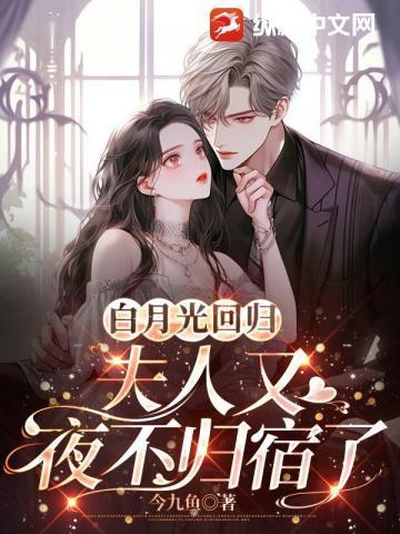 夫人又夜不归宿了
