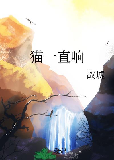 猫一直响的梗的出处和背景故事