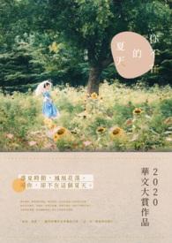 你不在的日子里歌词