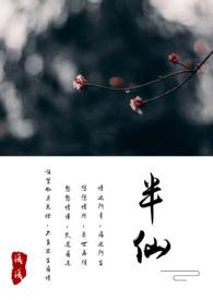 半仙TXT