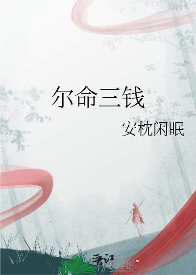 尔命三钱讲的什么