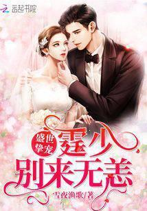 盛世宠婚陆霆琛