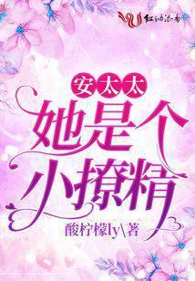 小太太免费阅读无弹窗