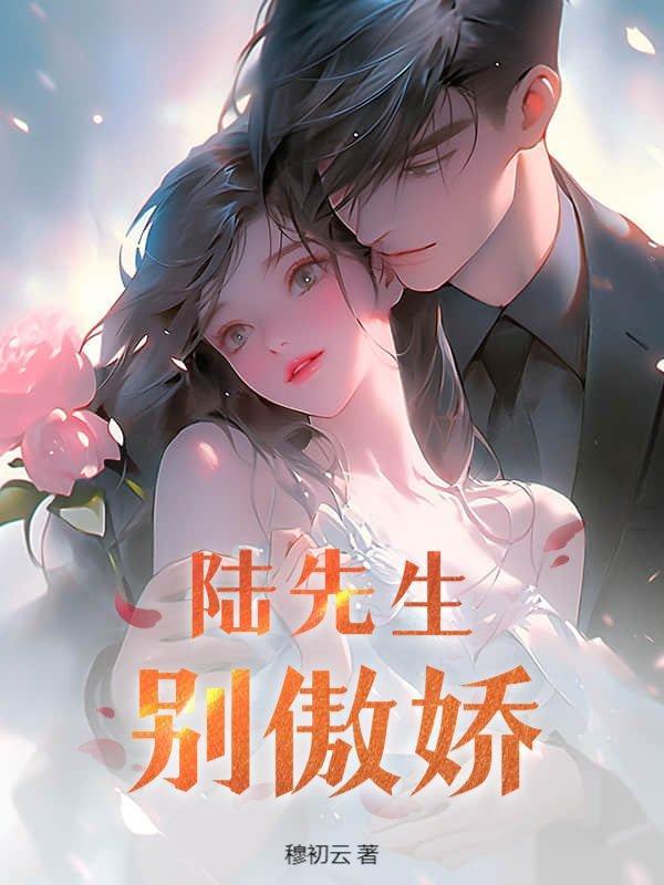 陆先生别追了免费阅读