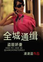 全城通缉盗匪娇妻免费阅读