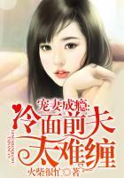宠妻成瘾冷面前夫太难缠