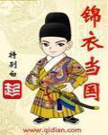 锦衣当国免费阅读大全
