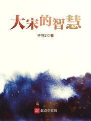 大宋的智慧在线阅读