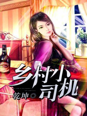 乡村小司机笔趣阁