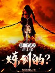 你一个武夫谁让你炼剑的秦关
