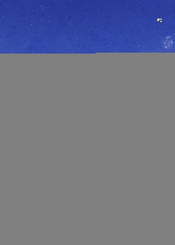 重生后闺蜜团全都性转了