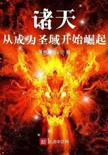 诸天从成为圣域开始崛起免费阅读