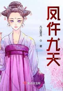 凤九天是什么意思
