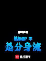 模拟器?不!是分身流(洛月幻华)