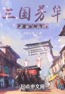 三国芳华之家父袁绍最新章节