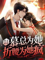 陆少的隐婚罪妻免费版