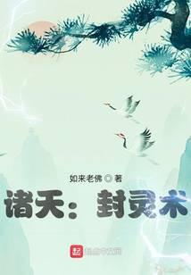 诸天从盗综开始叶吴求