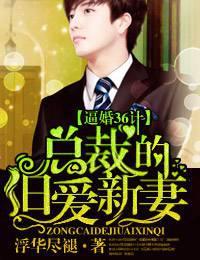 追妻36计总裁的旧爱新妻