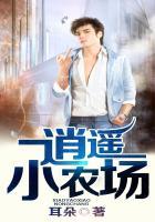 逍遥农场宝鼎空间免费阅读