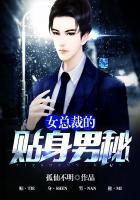 女总裁的贴身男秘空姐