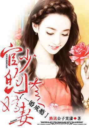 一枕桃花官场女人