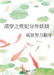 清穿之贵妃清音