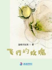 飞行的爱