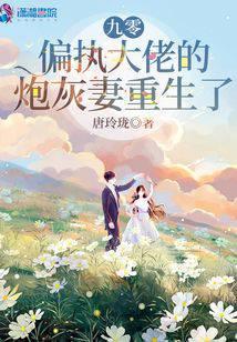 重生九零大佬宠妻