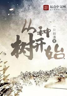 从种树开始英语