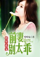 婚外欢宠前妻太撩人