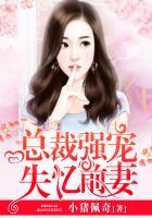 总裁失忆的前妻