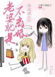 老婆就是不离婚TXT